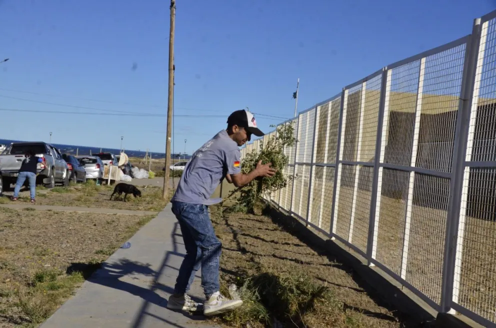 La Brigada Solidaria de ELIM realizó limpieza de la Escuela 169 del Stella Maris