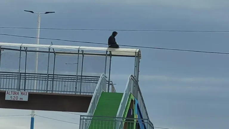 Tensión en zona norte: un hombre se subió a un puente y se teme por su integridad