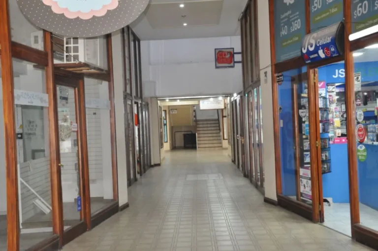 Comerciantes del Paseo del Sur alertan por cierres y caída de ventas