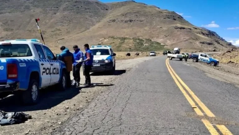 Murió un peatón tras ser atropellado en la ruta cerca de Caviahue