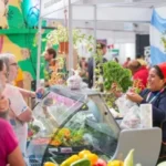 Se concretará una nueva edición de “El Patio del Festín” en el marco de la 88° Expo Ganadera