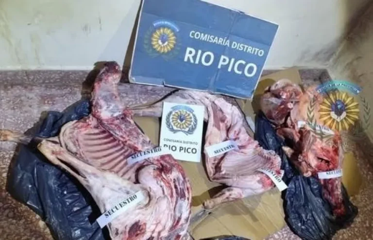 Río Pico: Secuestran carne ovina faenada ilegalmente en control de ruta