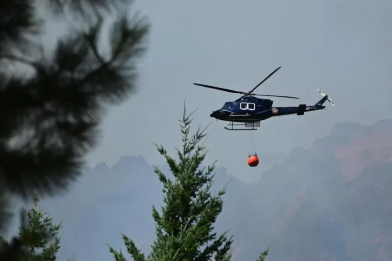 El incendio en Puerto Patriada fue declarado extinguido