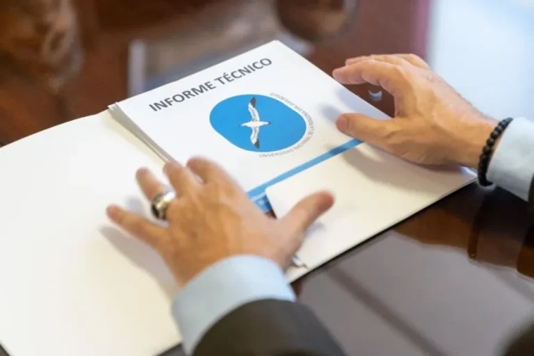 Tras el informe de la UNPSJB sobre el Cerro Hermitte, el Municipio proyecta nuevas normas urbanas para prevenir riesgos