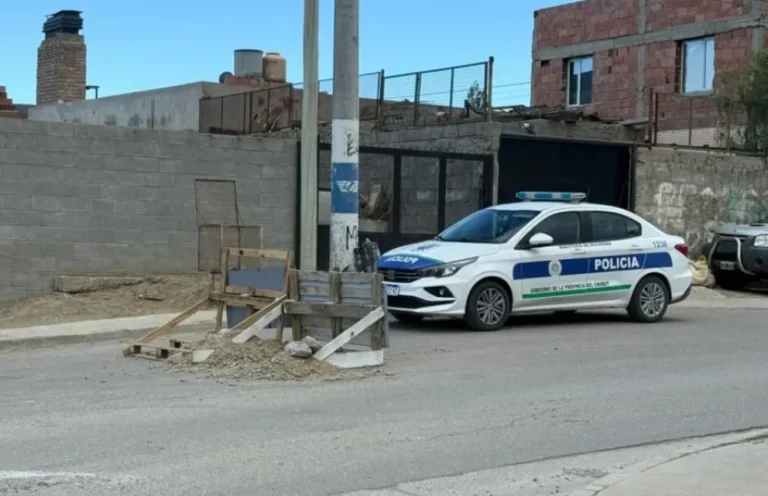 "Que haya más patrullaje porque los chicos salen temprano a tomar el colectivo", pidió la madre del adolescente apuñalado