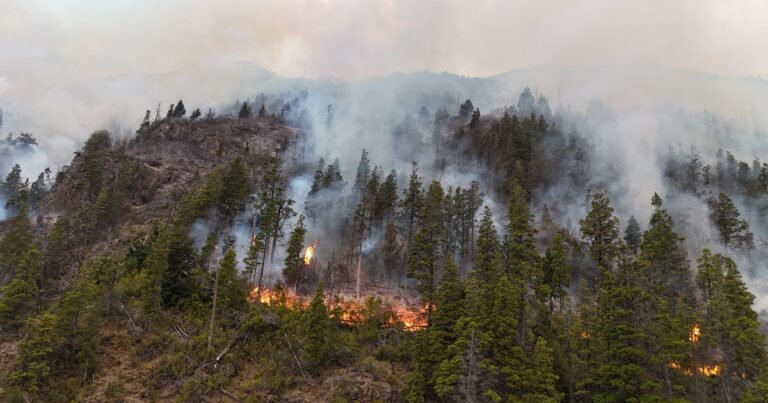 Con un festival literario a beneficio de la Patagonia, una veintena de escritores se unen para ayudar