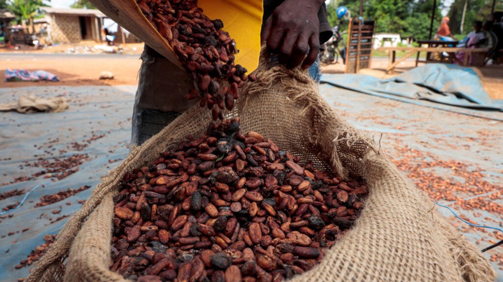 Baja el cacao, pero no el chocolate: el desplome del grano pone en vilo a productores