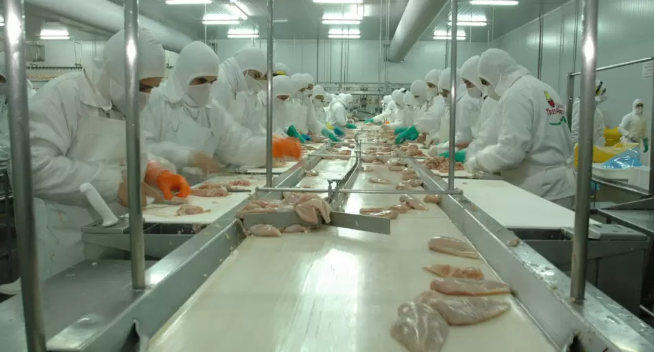 La mayor avícola del país en alerta: debe $26.000 millones y tomó una decisión drástica con sus empleados