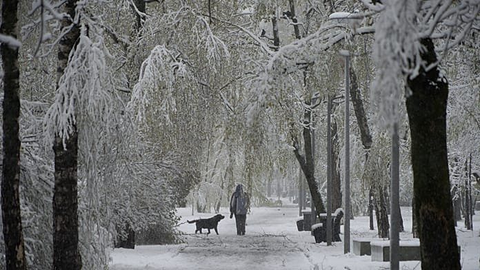 Una inusual tormenta de nieve primaveral afecta a Moscú