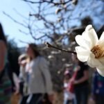 Cientos en Londres acuden a oler la rara 'flor cadáver'