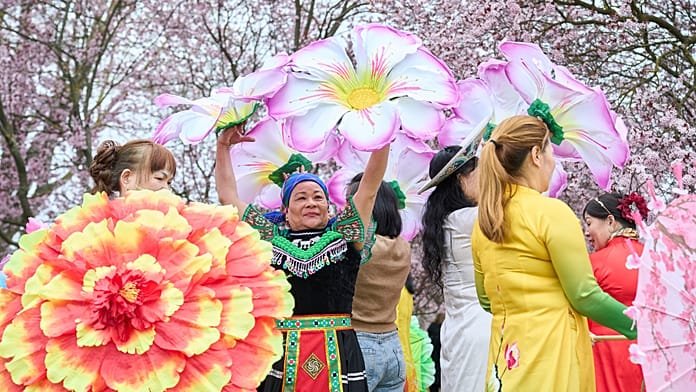 El Festival de los Cerezos en Flor de Berlín atrae a visitantes de todo el mundo esta primavera