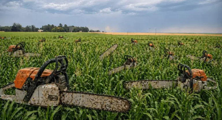 La motosierra llega al campo