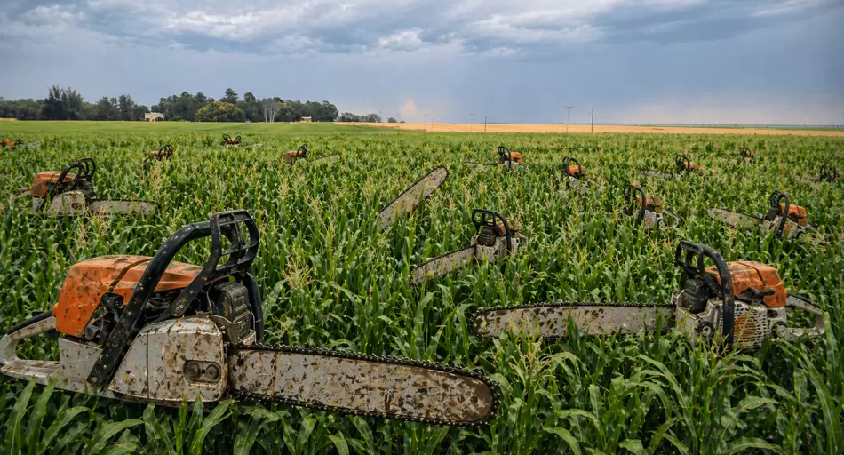 La motosierra llega al campo