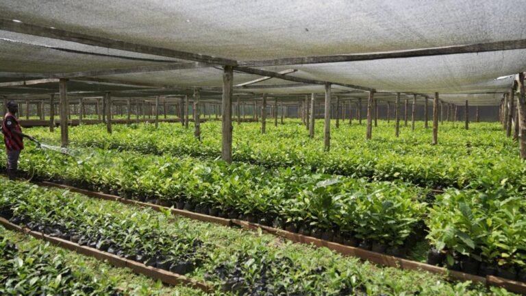 Canadá se blinda ante EE. UU. y apuesta por su autosuficiencia alimentaria