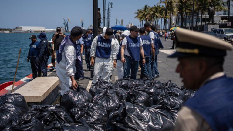 Derrame en el Golfo de México: ¿el Gobierno lo ocultó durante semanas?