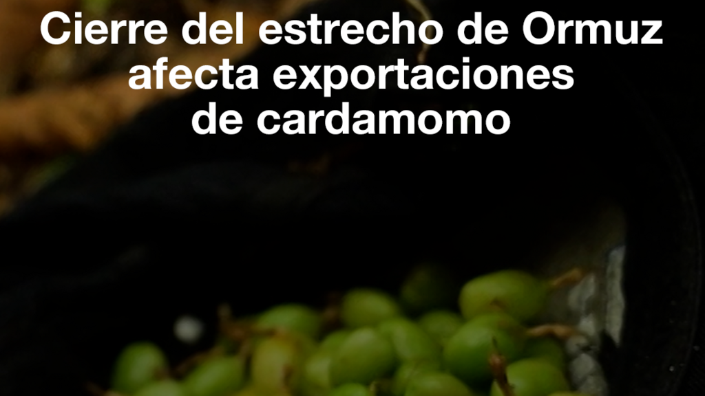 Cierre del estrecho de Ormuz afecta exportaciones en Guatemala