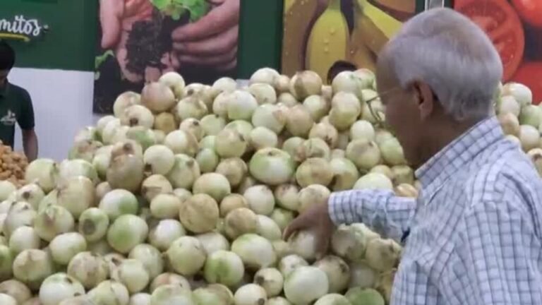 Venezuela: salarios estancados, dólar al alza y dependencia de remesas