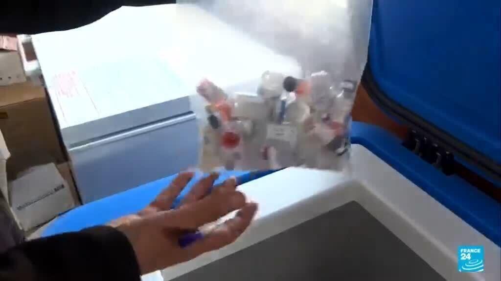 Franja de Gaza: campaña de vacunación infantil contra sarampión y otras enfermedades