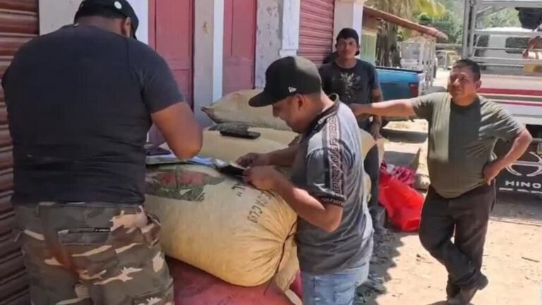 Guatemala suspende exportaciones de cardamomo por cierre de estrecho de Ormuz