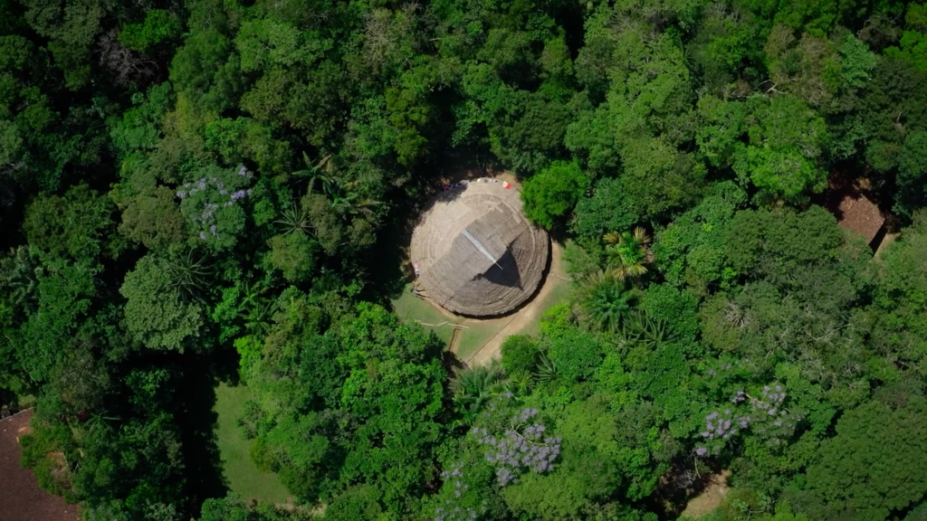 Colombia cambia su mapa político: pueblos indígenas ya gobiernan la Amazonía