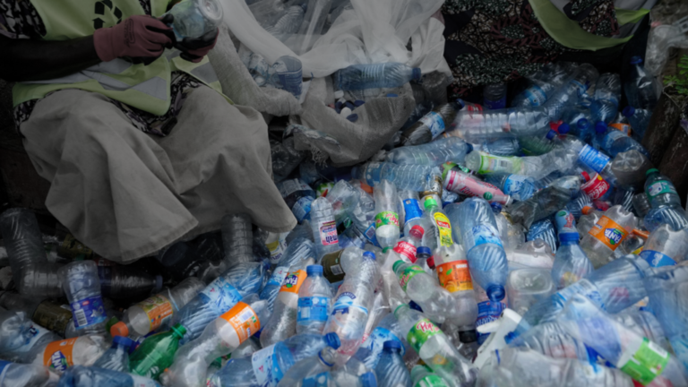 ¿Cómo se transformó el sur global en el basurero de los países ricos?