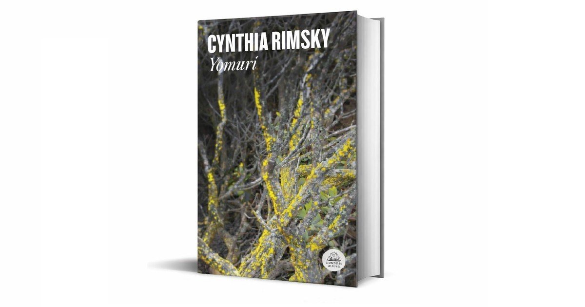 ‘Yomurí’, de Cynthia Rimsky: un viaje delirante que explora familia, política e identidad
