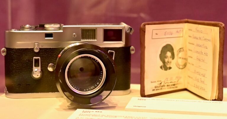 El legado de María Elena Walsh y Sara Facio se exhibe en el Instituto Cervantes de Madrid