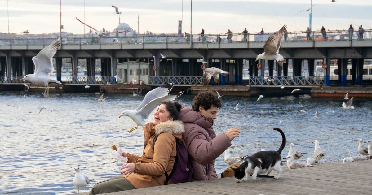 La nueva ola turca en Netflix: las diez series estreno que no te podés perder