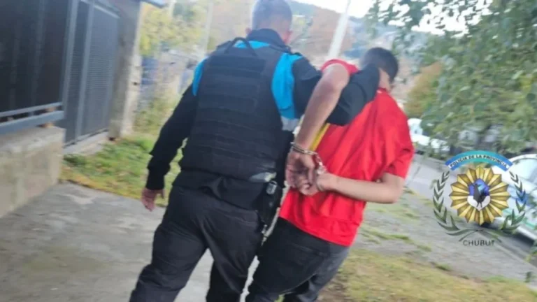 Entró a robar y lo vieron por las cámaras: fue aprehendido