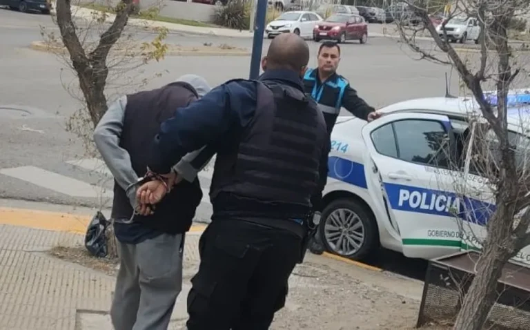 En menos de seis horas, detuvieron a otro ladrón en barrio Roca