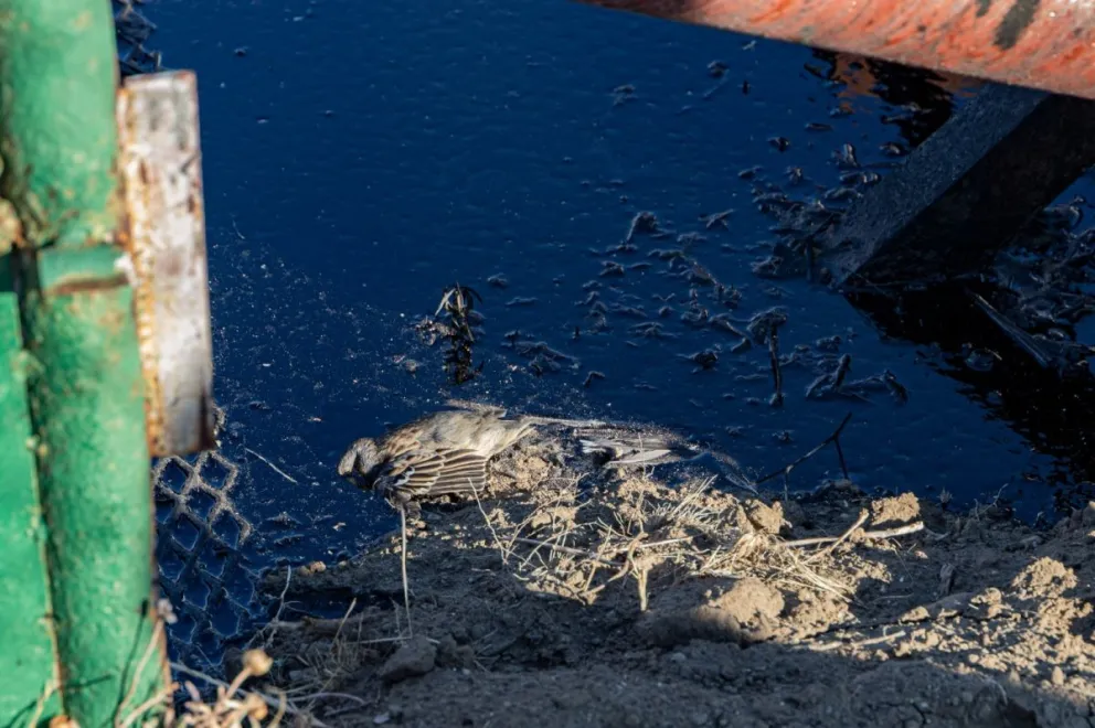 Derrame de hidrocarburos en barrio Laprida: El Municipio contuvo la situación y activó los mecanismos de control