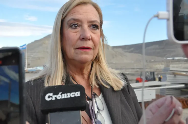 La industria naval apuesta a Comodoro: destacan el impacto económico y estratégico del Astillero