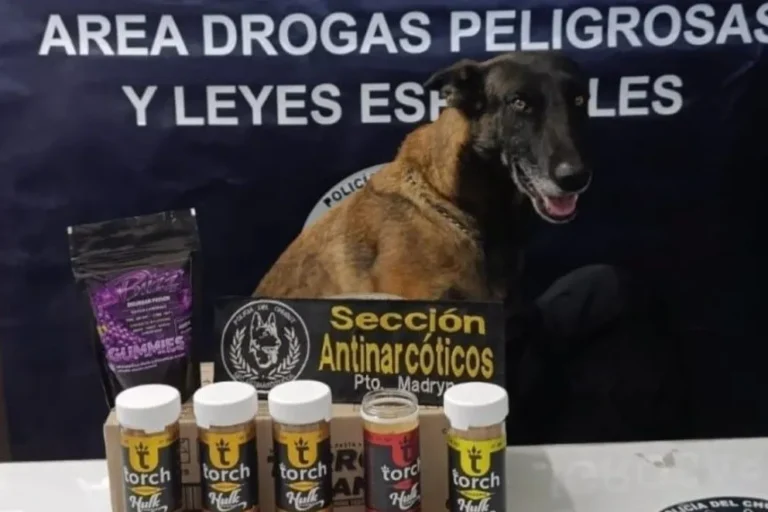 Incautan gomitas con marihuana enviadas por encomienda en la Terminal de Madryn