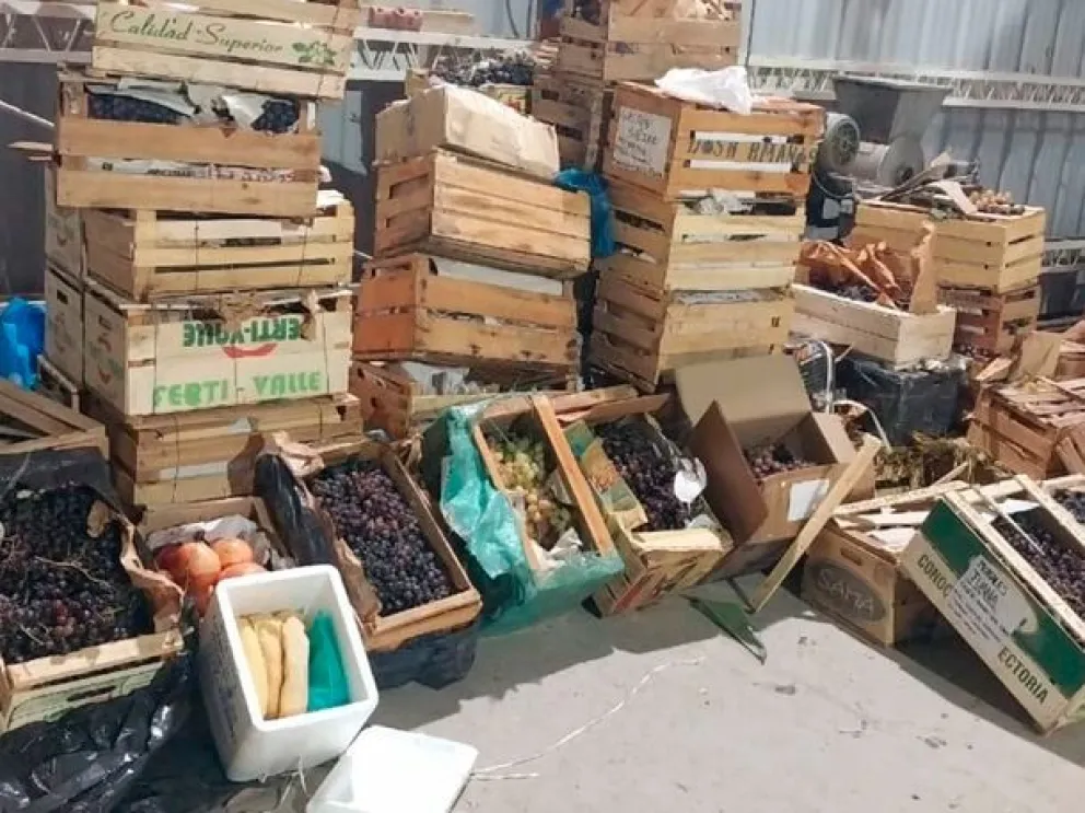 Río Colorado: impidieron el ingreso de 1.400 kilos de uva que llegaban desde Tinogasta a Comodoro