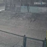 Quisieron robarle a la mamá de Gonzalo Güenchur: “Dependés del ánimo del que esté de turno”