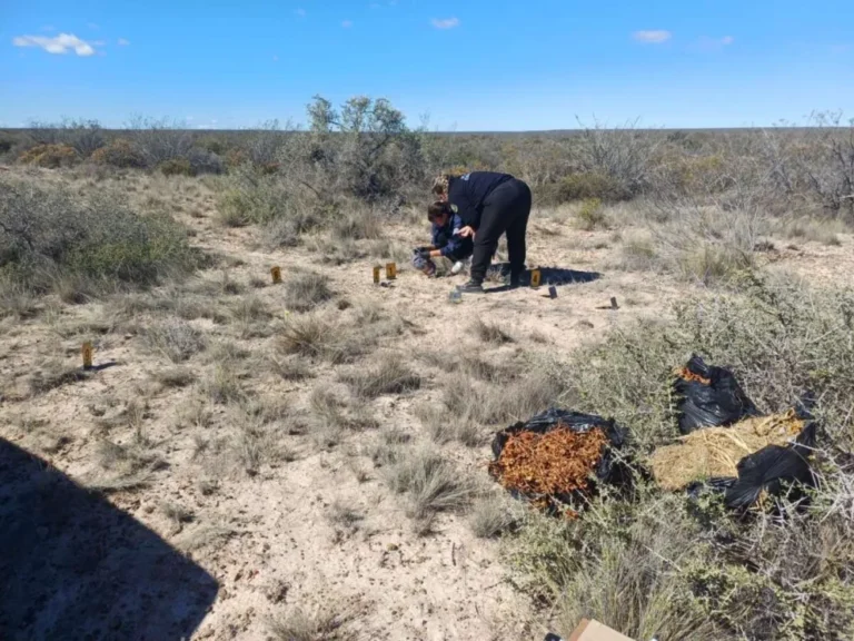 Lo balearon y lucha por su vida en terapia intensiva