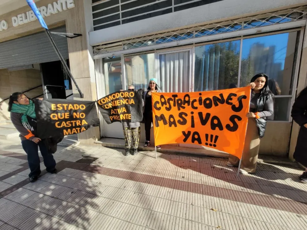 Presentaron en el Concejo un proyecto para implementar un plan de equilibrio poblacional animal