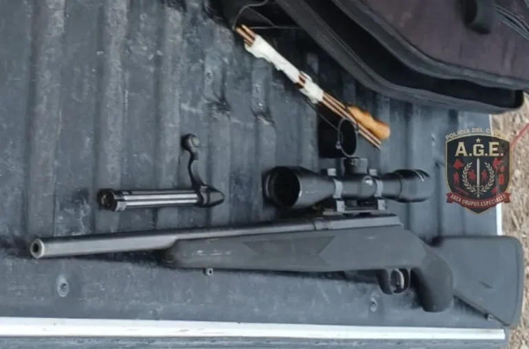 Decomisan un choique y secuestran armas en un operativo en Sarmiento