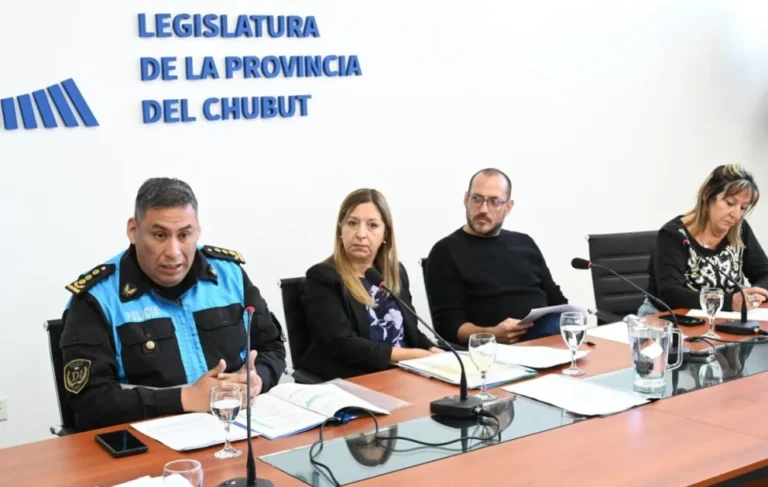 Dictamen favorable para prorrogar el Comando Unificado en Chubut
