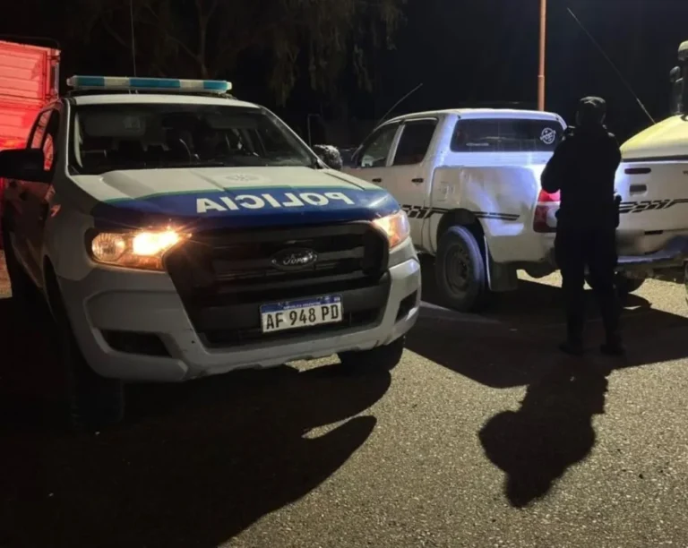 Secuestraron una camioneta por llevar 10 guanacos faenados