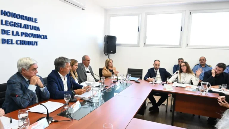 "Buscamos proteger a 600 mil chubutenses", afirmó Menna sobre la Ley de Celulares