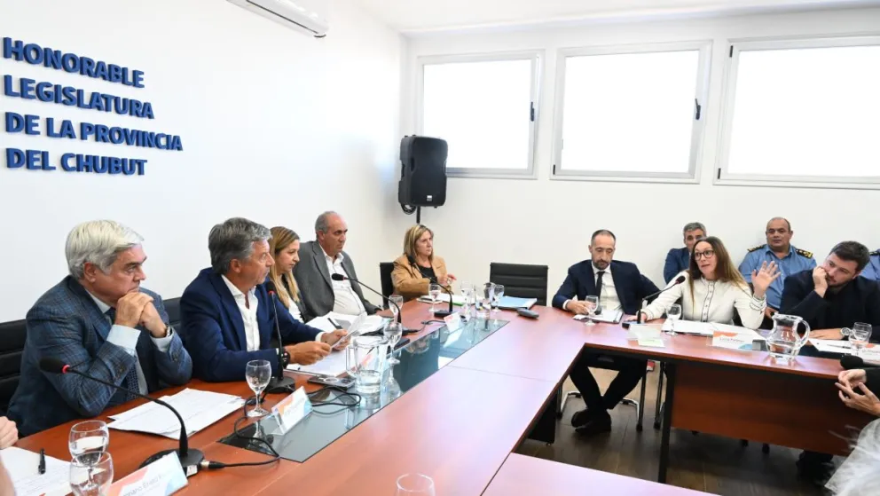 "Buscamos proteger a 600 mil chubutenses", afirmó Menna sobre la Ley de Celulares