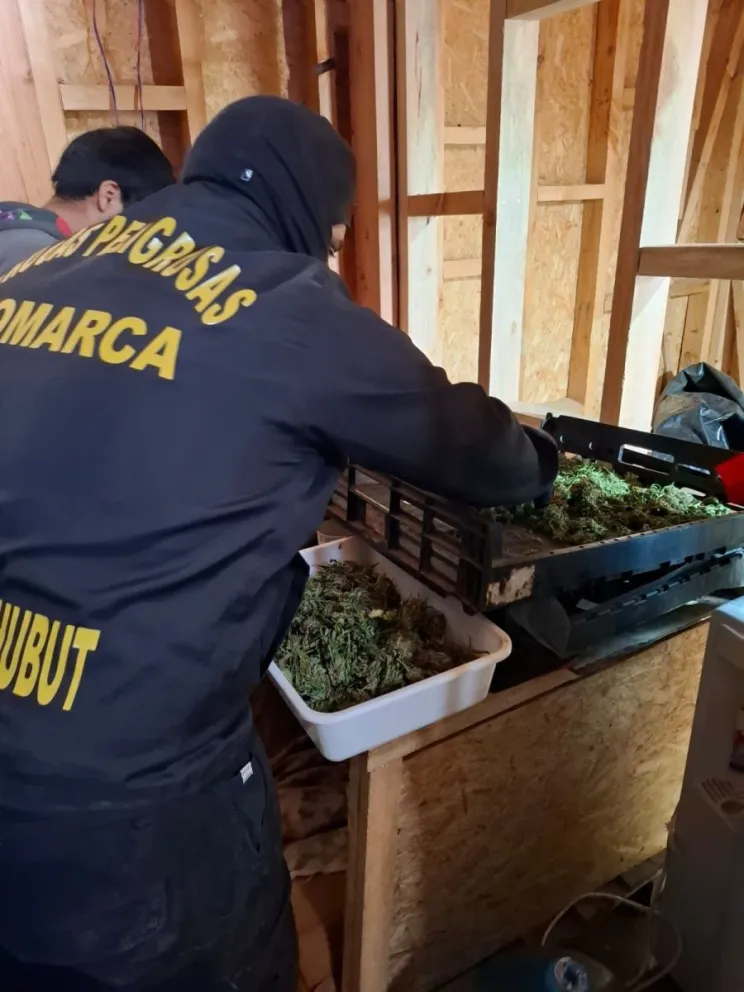 Policía del Chubut desbarata una red de narcomenudeo en la Comarca Andina