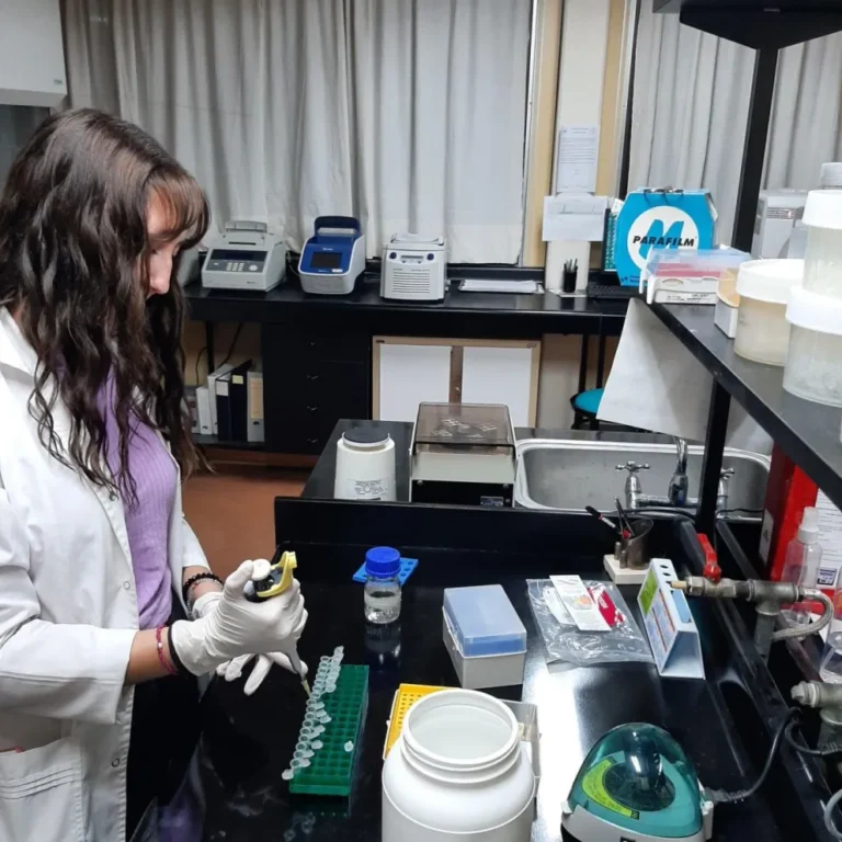 Estudian al cangrejo verde en Chubut y alertan por su impacto en la costa