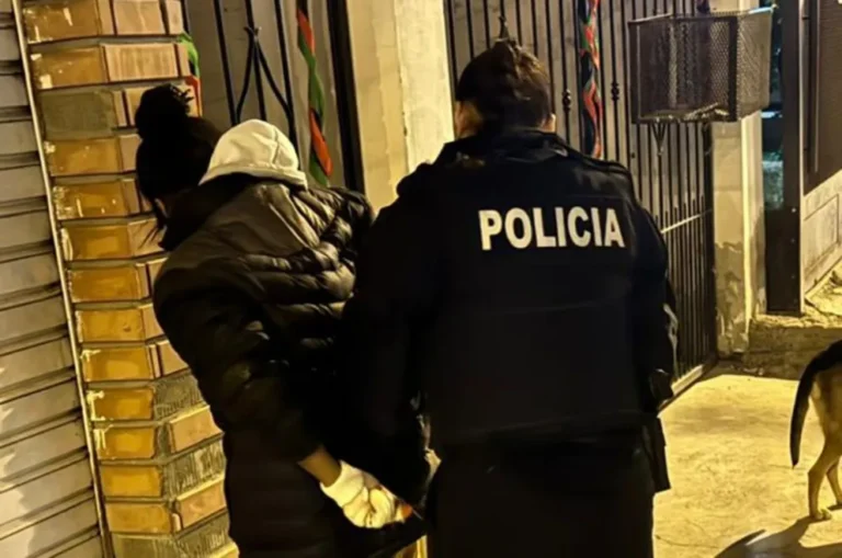 Mujer detenida tras intentar robar bolsas de papas en el barrio Ceferino