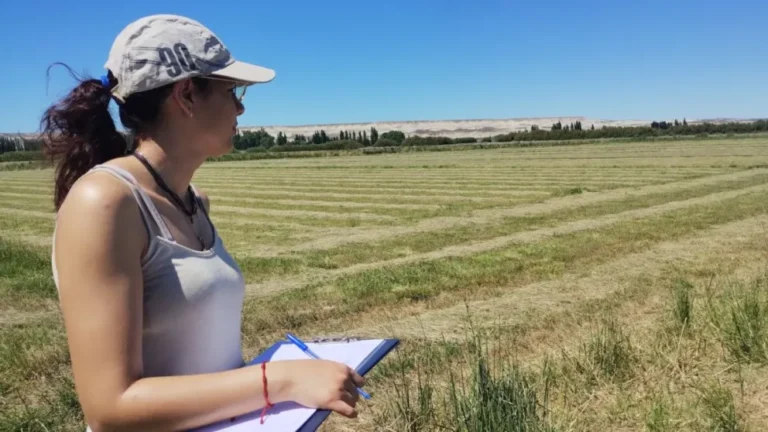 Chubut y CONICET fortalecen el sistema científico con el inicio de becas doctorales cofinanciadas