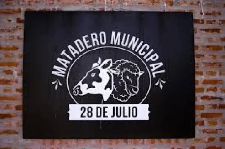 El Matadero de 28 de Julio realizó una faena experimental habilitada y refuerza su rol productivo en la región