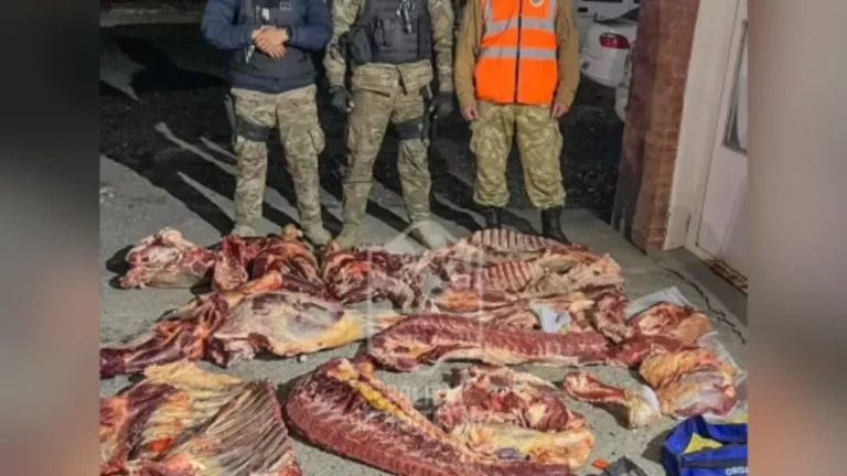 Santa Cruz: Secuestran dos vacas faenadas en un control policial