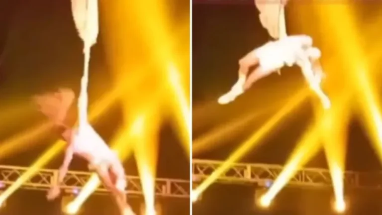 Grave caída de un acróbata durante una función de circo en San Luis