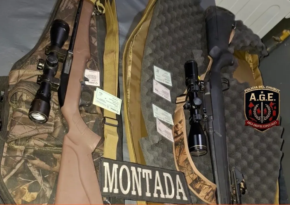 Secuestran armas y cinco guanacos faenados en cercanías de Tecka